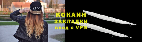 ГАЛЛЮЦИНОГЕННЫЕ ГРИБЫ Медвежьегорск