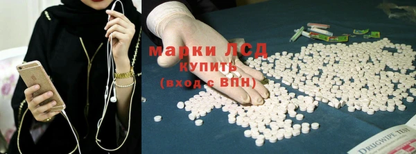 ГАЛЛЮЦИНОГЕННЫЕ ГРИБЫ Медвежьегорск