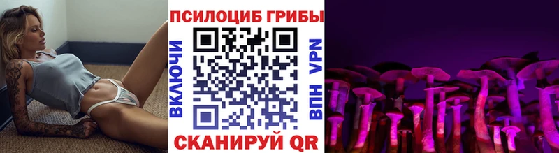 Псилоцибиновые грибы Psilocybe  ссылка на мегу ССЫЛКА  Бобров  где продают наркотики 